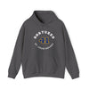Bortuzzo 41 St. Louis Hockey Number Arch Design Unisex Hooded Sweatshirt
