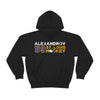 Alexandrov 59 St. Louis Hockey Unisex Hooded Sweatshirt